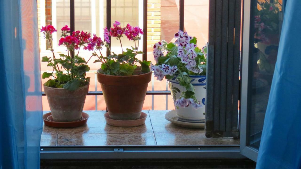 Apartamento Patios de San Pedro Córdoba Exterior foto